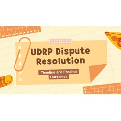 UDRP Dispute Resolution: Timeline and Possible Outcomes