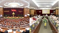 Quy trình giải quyết tố cáo đối với tổ chức đảng trực thuộc Trung ương