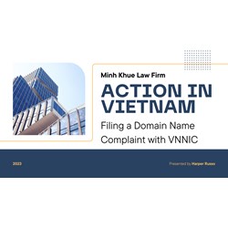 Action in Vietnam: Filing a Domain Name Complaint with VNNIC