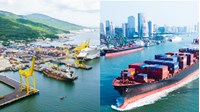 Những đối tượng sẽ bị tính giá dịch vụ tại cảng biển từ 1/7/2024?