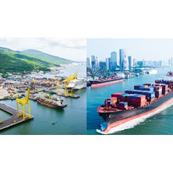 Những đối tượng sẽ bị tính giá dịch vụ tại cảng biển từ 1/7/2024?