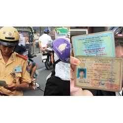 Quên mang giấy phép lái xe có nhờ người thân mang đến được không?