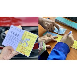 Khi bảo hiểm bắt buộc trách nhiệm dân sự sẽ không có trách nhiệm bồi thường?