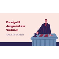 Foreign IP Judgments in Vietnam: Hurdles and Strategies