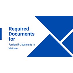 Required Documents for Foreign IP Judgments in Vietnam