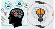 Quyền sử dụng đối tượng sở hữu công nghiệp được quy định thế nào?