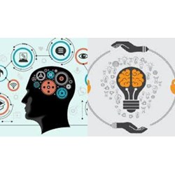 Quyền sử dụng đối tượng sở hữu công nghiệp được quy định thế nào?
