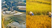 Dàn ý Cảm nhận vẻ đẹp người đồng mình trong bài thơ Nói với con