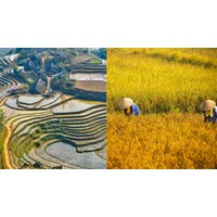 Dàn ý Cảm nhận vẻ đẹp người đồng mình trong bài thơ Nói với con