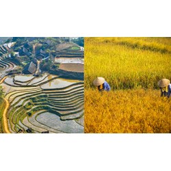 Dàn ý Cảm nhận vẻ đẹp người đồng mình trong bài thơ Nói với con