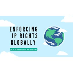 Enforcing IP Rights Globally with International Mechanisms
