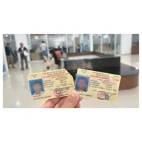 Thêm giấy phép lái xe vào ứng dụng VNeID như thế nào?