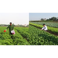 Nguồn cung cấp vốn điều lệ của Quỹ hỗ trợ nông dân cấp tỉnh