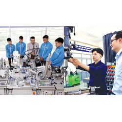 Chỉ có bằng cao đẳng được làm giám đốc trung tâm giáo dục nghề nghiệp công lập không?