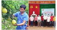 Ban điều hành của Quỹ hỗ trợ nông dân cấp tỉnh có gồm kế toán trưởng?