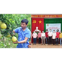 Ban điều hành của Quỹ hỗ trợ nông dân cấp tỉnh có gồm kế toán trưởng?