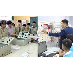 Giám đốc trung tâm giáo dục nghề nghiệp công lập được ban hành quy chế, quy định trong trung tâm không?