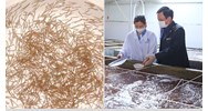 Thời gian duy trì điều kiện cơ sở sản xuất, ương dưỡng giống thủy sản