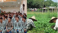 Trong những trường hợp nào phạm nhân phải làm thêm giờ?