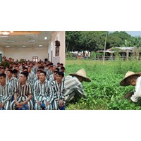 Trong những trường hợp nào phạm nhân phải làm thêm giờ?