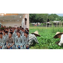 Trong những trường hợp nào phạm nhân phải làm thêm giờ?