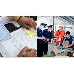 Hướng dẫn hoàn trả các khoản thu phạt nộp thừa trên môi trường điện tử