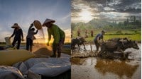 Điều kiện đăng ký nhãn hiệu tập thể theo quy định mới nhất