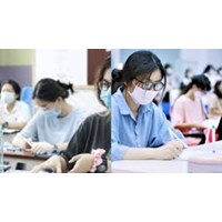Sinh viên bị cảnh cáo học tập, buộc thôi học trong trường hợp nào?