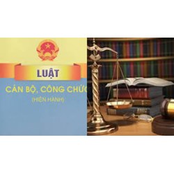 Tổng hợp những văn bản hướng dẫn thi hành Luật Cán bộ công chức?