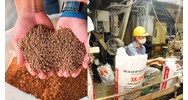 Cá nhân sản xuất thức ăn chăn nuôi thương mại có những quyền gì?