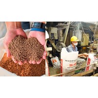 Cá nhân sản xuất thức ăn chăn nuôi thương mại có những quyền gì?
