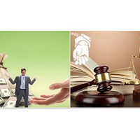 Pháp nhân thương mại chỉ chịu TNHS về những tội phạm nào?