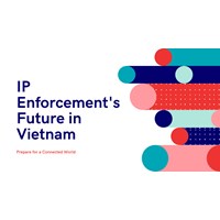 IP Enforcement's Future in Vietnam: Prepare for a Connected World
