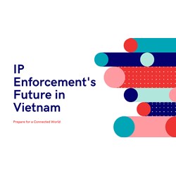 IP Enforcement's Future in Vietnam: Prepare for a Connected World