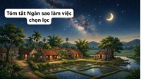 Tóm tắt Ngàn sao làm việc chọn lọc hay nhất