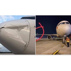 Quy trình các tổ chức thực hiện báo cáo sự cố hàng không