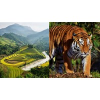 Viết đoạn văn nghi lại cảm nghĩ về một bài thơ tám chữ siêu hay