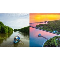 Phân tích Cà Mau quê xứ của Trần Tuấn chọn lọc hay nhất