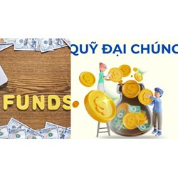 Số lượng thành viên tối đa của Ban đại diện quỹ đại chúng