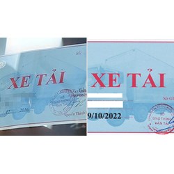 Vị trí dán phù hiệu của xe taxi tải kinh doanh vận tải hàng hóa