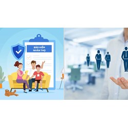 Doanh nghiệp bảo hiểm nhân thọ cung cấp dịch vụ phụ trợ bảo hiểm cho ai?