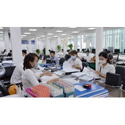 Mức hỗ trợ đào tạo, chuyển đổi nghề theo Quyết định 35/2024/QĐ-UBND