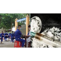 Dừng quản lý người dùng ma túy khi đang bị quản lý bởi Chủ tịch UBND cấp xã