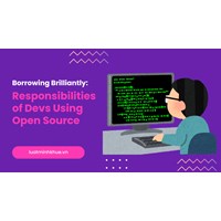 Borrowing Brilliantly: Responsibilities of Devs Using Open Source