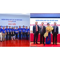 Quy định về đại hội thành viên ngân hàng hợp tác xã như thế nào?