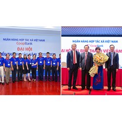 Quy định về đại hội thành viên ngân hàng hợp tác xã như thế nào?