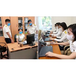 Tiêu chuẩn về trình độ đào tạo, bồi dưỡng của công chức thuế ra sao?