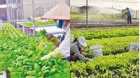 Các hoạt động của ngân hàng hợp tác xã từ ngày 01/7/2024 bao gồm?