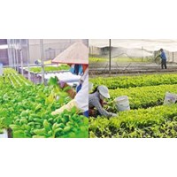 Các hoạt động của ngân hàng hợp tác xã từ ngày 01/7/2024 bao gồm?
