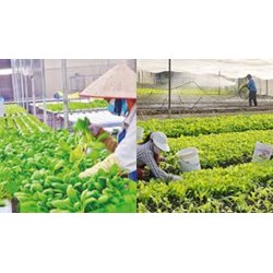 Các hoạt động của ngân hàng hợp tác xã từ ngày 01/7/2024 bao gồm?